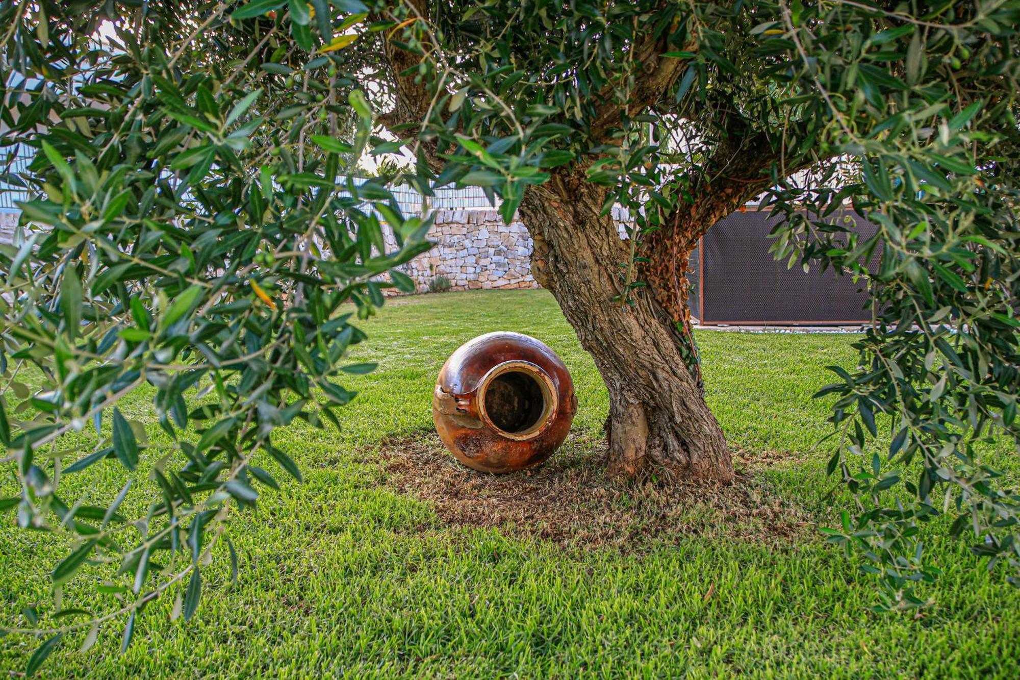 Trulli Donna Isabella Bed & Breakfast Locorotondo Bagian luar foto